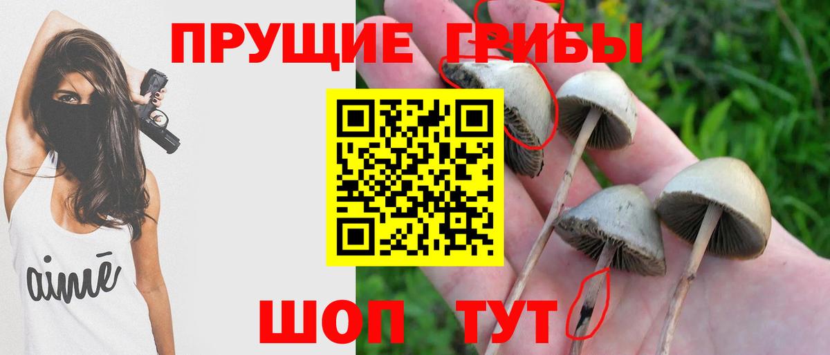Псилоцибиновые грибы Magic Shrooms Шадринск